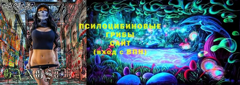 Галлюциногенные грибы Magic Shrooms  Балей 